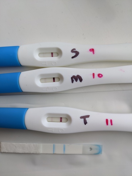 10dpo success stories?