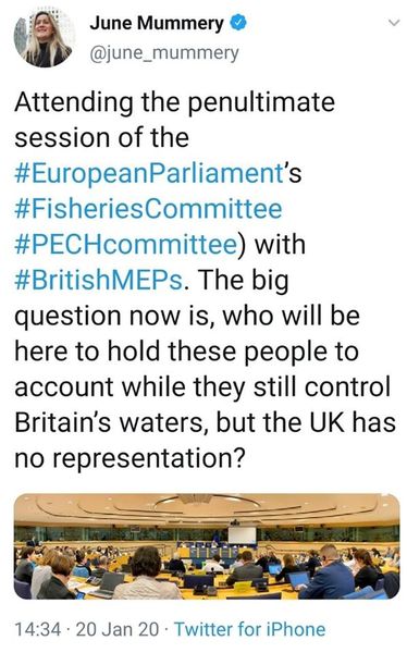 Westministenders: Canada Plus and the Transition Phase