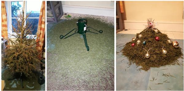 Swagger Inn thread 163 - it's raining --HBFs-- rain. FML...