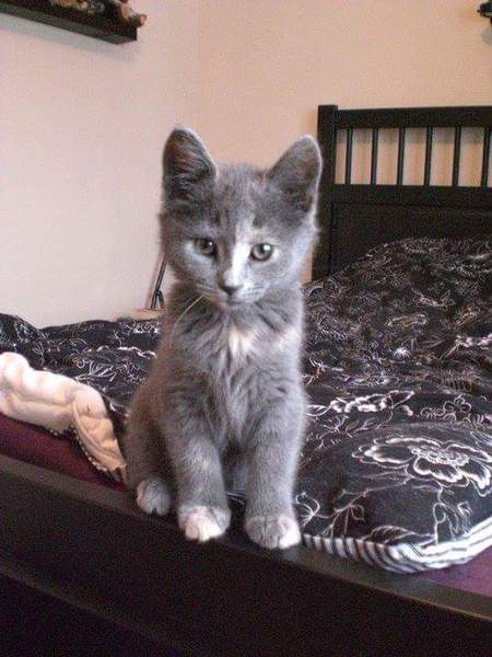 Swagger Inn thread 163 - it's raining --HBFs-- rain. FML...