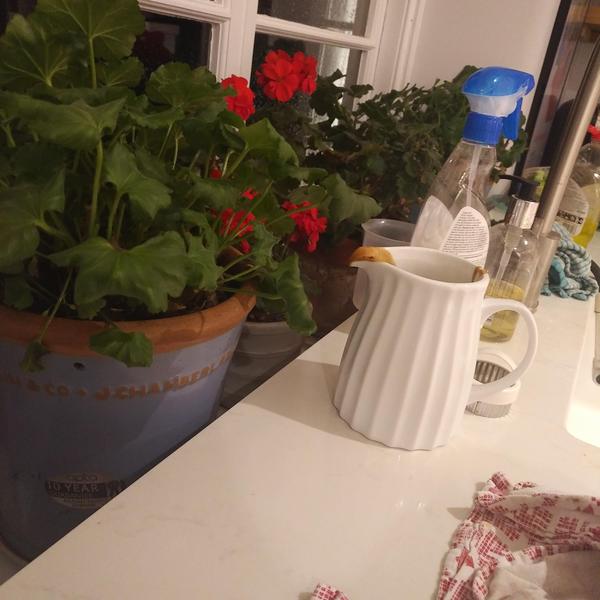 Kitchen -windowsill lower than worktop?