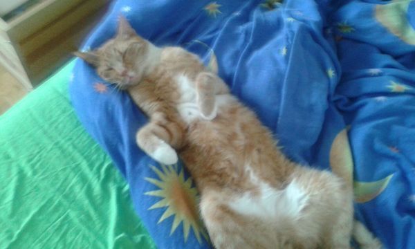 Smooshy belly thread.