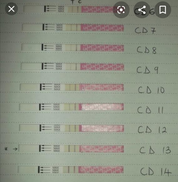 Anyone on Letrozole?