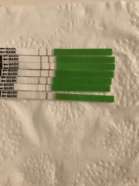 Are they signs?? Please help!!