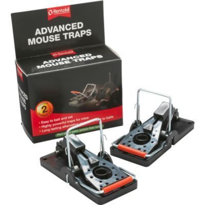 Mice making me anxious and can't sleep