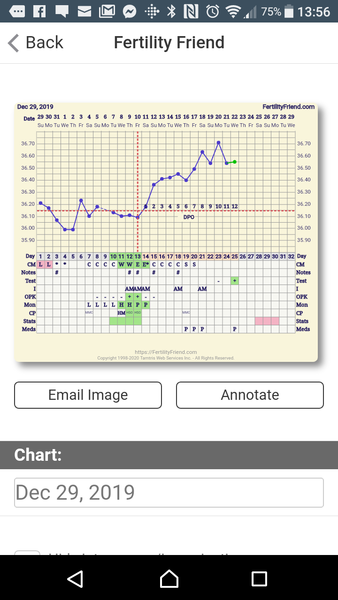 TTC after pregnancy loss - Thread 33- huddle up and bring on the BFP's