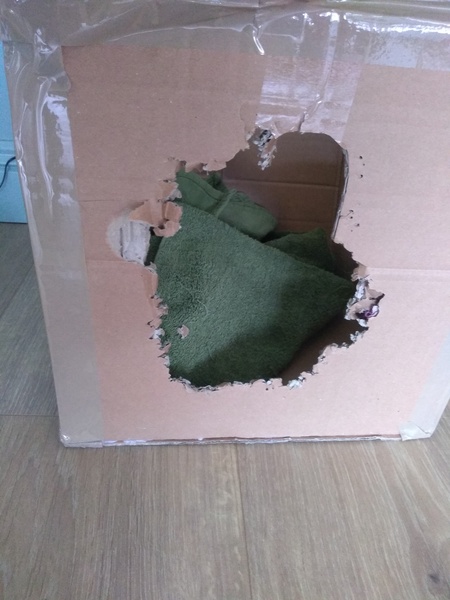 My Dcat loves his cardboard boxes - is he's part budgie?