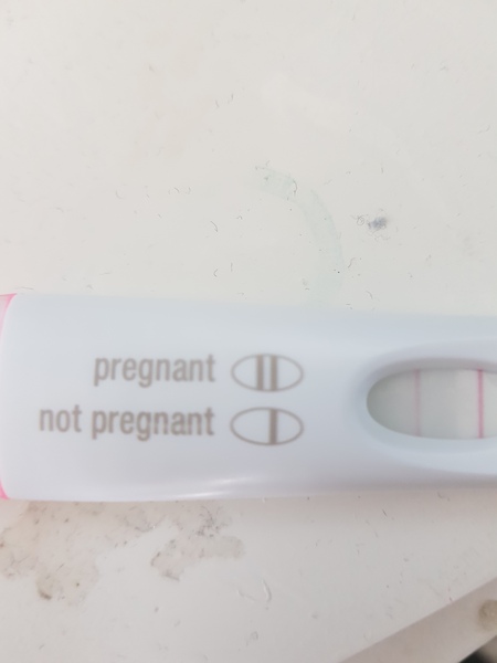 Can you please check my test result