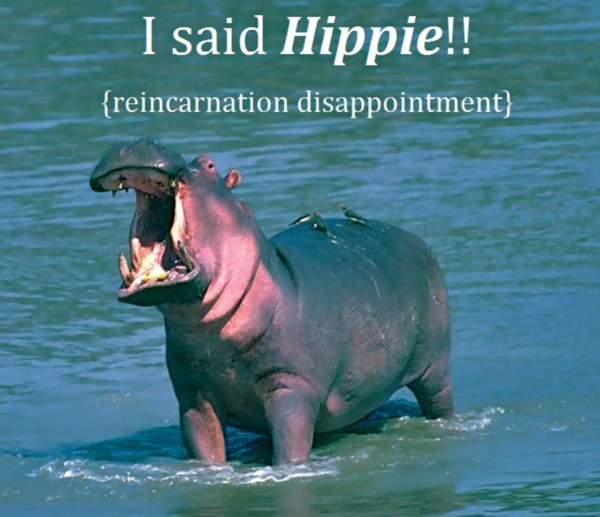 Reincarnation