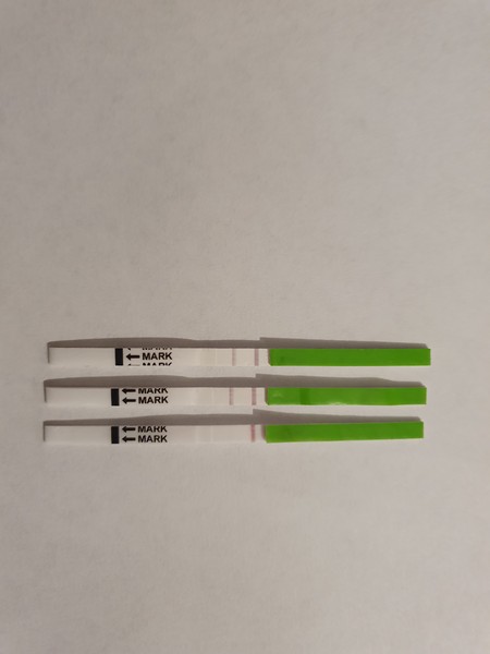 Help with OPKs. I'm going crazy