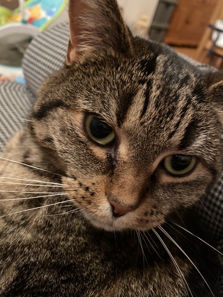 Frugal Friends Finding Financial Freedom In February