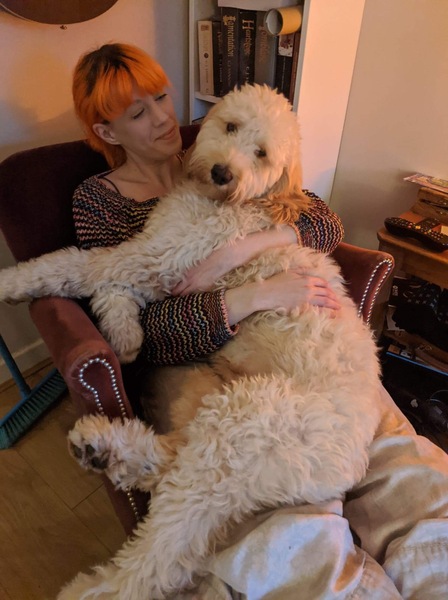 Going to look at a cockerpoo puppy this morning