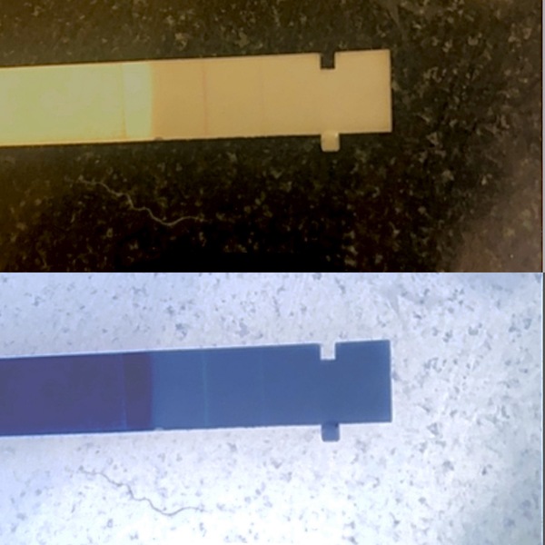 11dpo thread 🧡