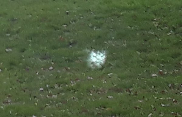 dh just saw a light orb and a strange shadow WOO !