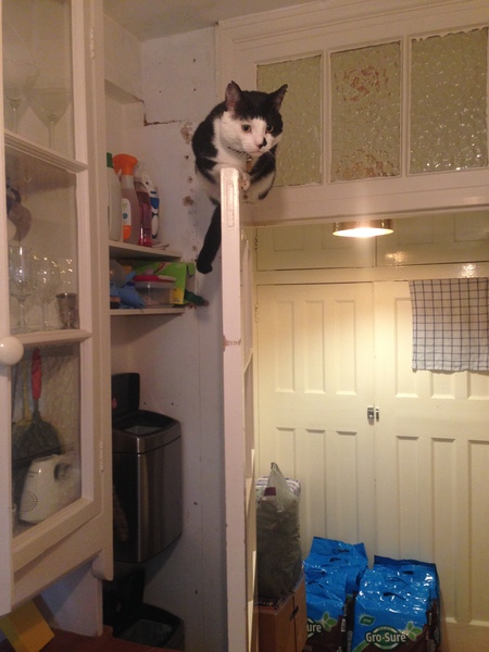 How high can you go? Picture fun!