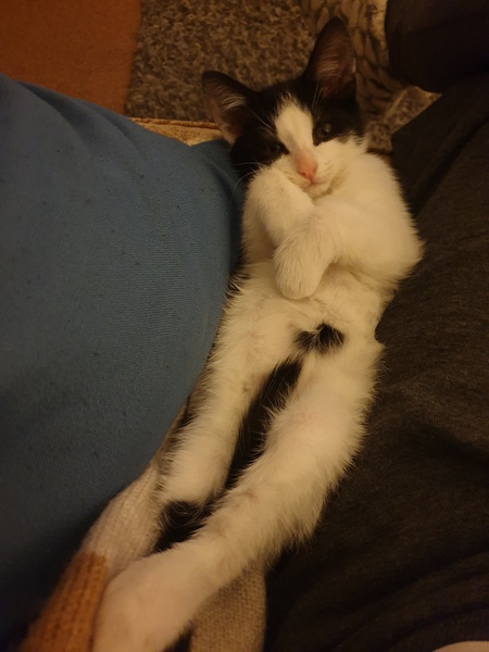 Smooshy belly thread.