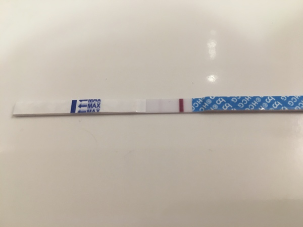 Ovulation - NYE week