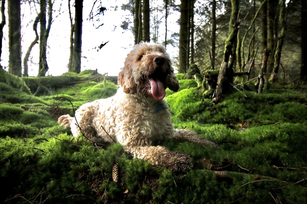 I spend way too much time in the great outdoors, how old am I?