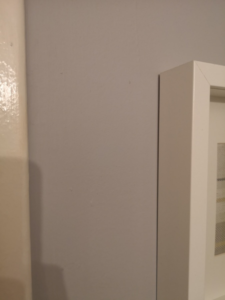 Is there such thing as truly warm grey?