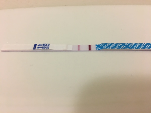 HCG Progression Lines