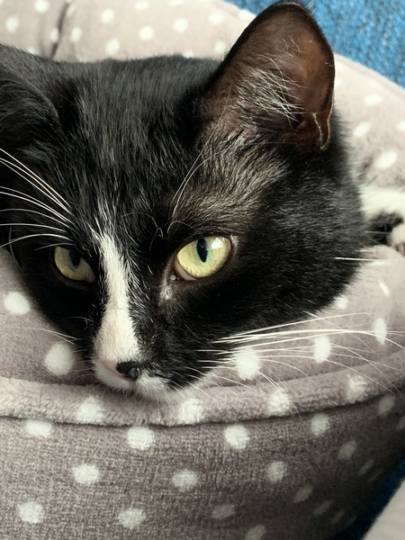 Sleep in eyes