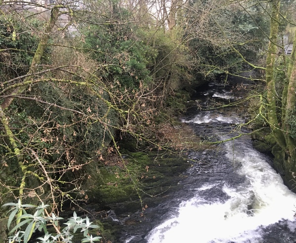 Any Witches Here? Part 10.