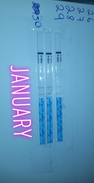 Baby @home ovulation test!!please help an I ovualting??
