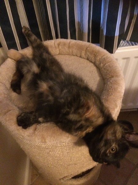 Smooshy belly thread.