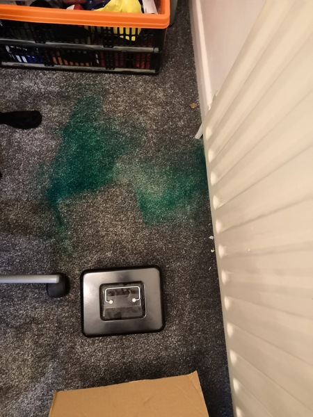 OMG help - carpet nightmare