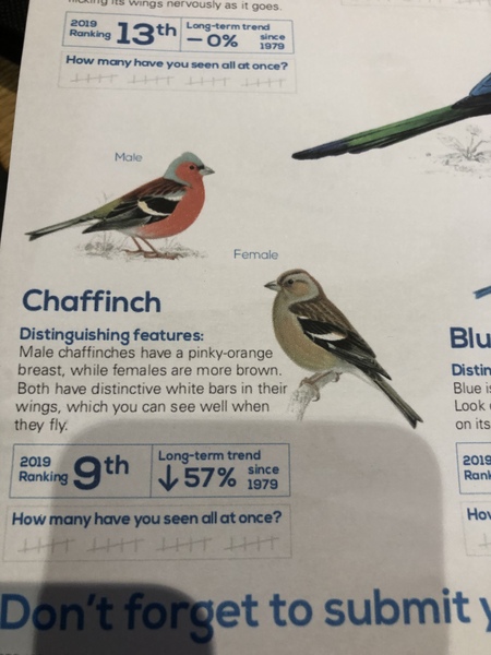 Are these birds taking the piss?