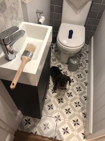 Removing (too small) downstairs loo and replacing it with a coats cupboard?