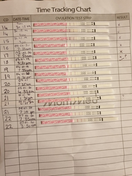 Ovulation help??