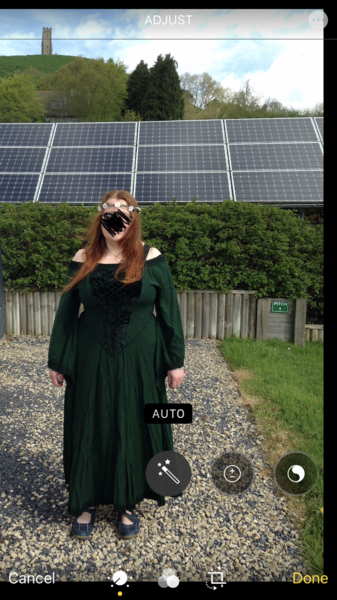 Help me find a handfasting dress please