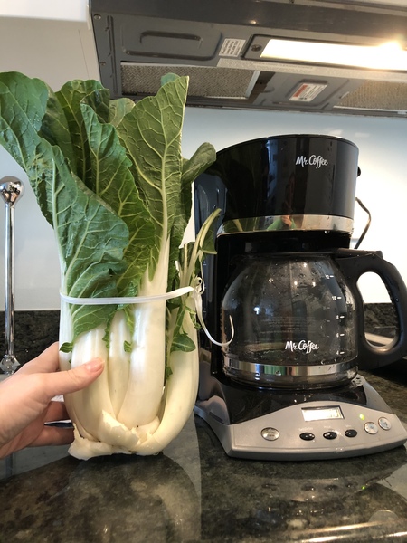 Jan '20 - Week 3 Low Carb Bootcamp - Ready for Bootcamp Light?