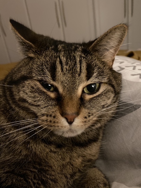 New year frugalling commences. Save those pennies for January