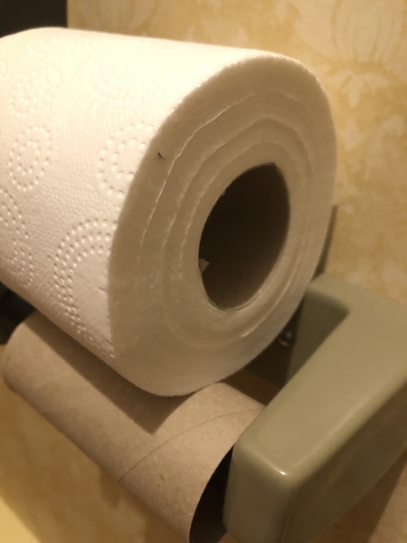 To remove the toilet roll holder