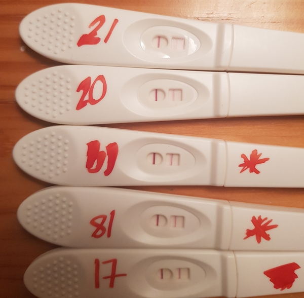 Ovulation day