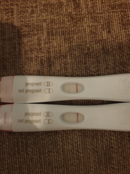 Do you think I'm pregnant?