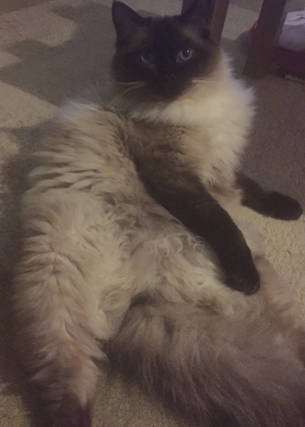Smooshy belly thread.