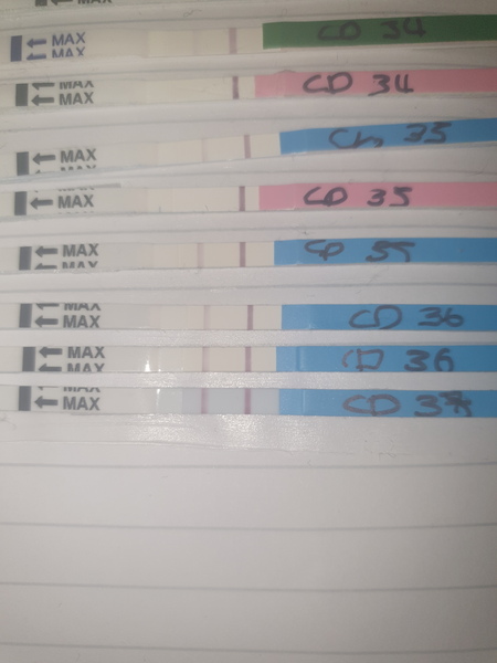 Testing mid January - anyone else like to join?