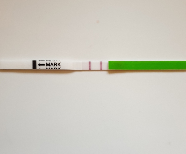 2 days late....positive ovulation test
