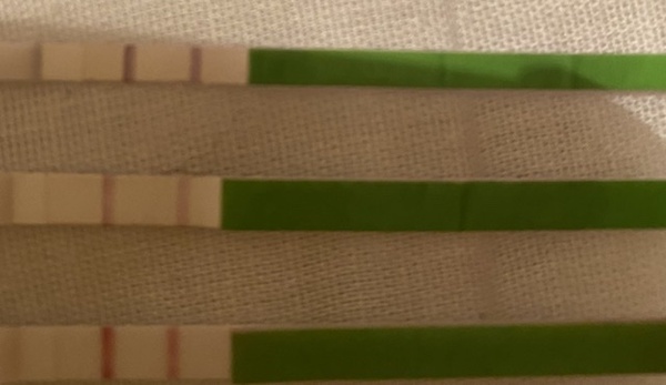 Help with ovulation strips