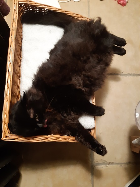 Smooshy belly thread.