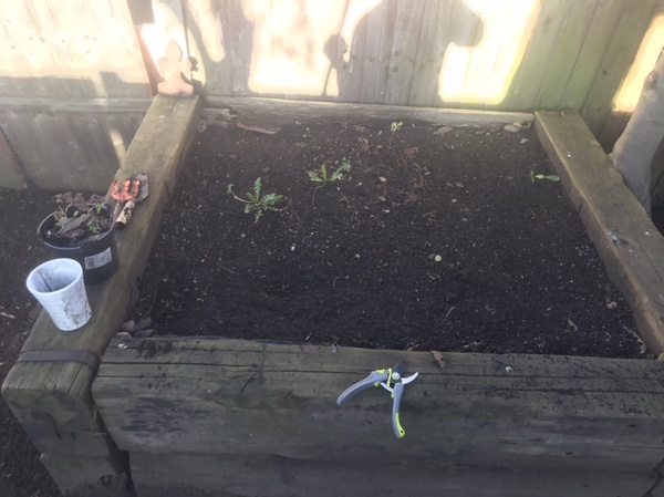 New house came with a raised bed - what should I do with it?