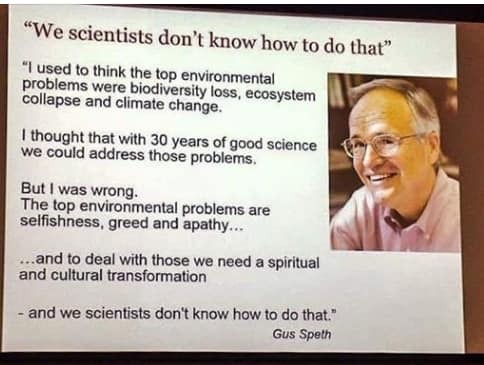 Westminstenders: War and Weirdos