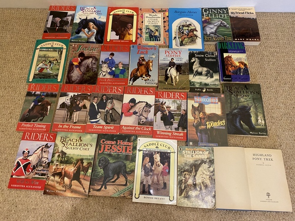 Help me find this horsey fiction book - please