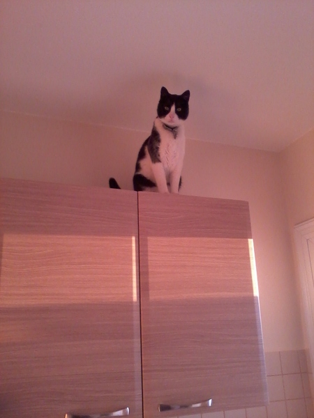 How high can you go? Picture fun!
