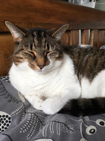 To be annoyed at CF parking