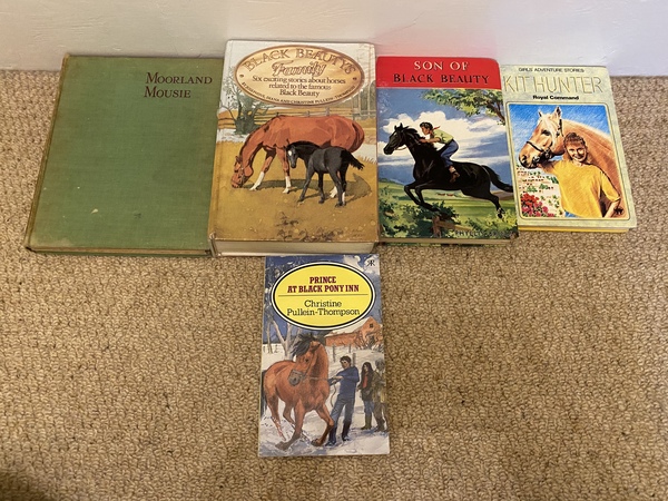 Help me find this horsey fiction book - please