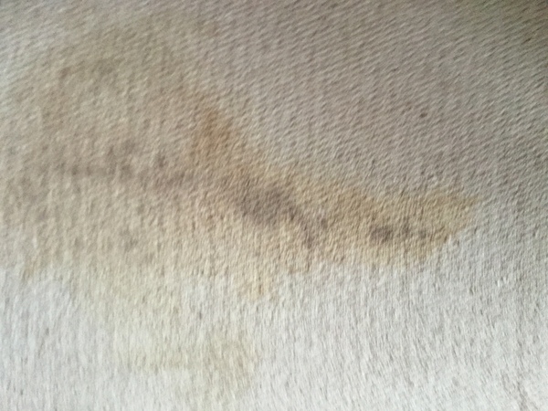 Red wine stain on pale beige carpet